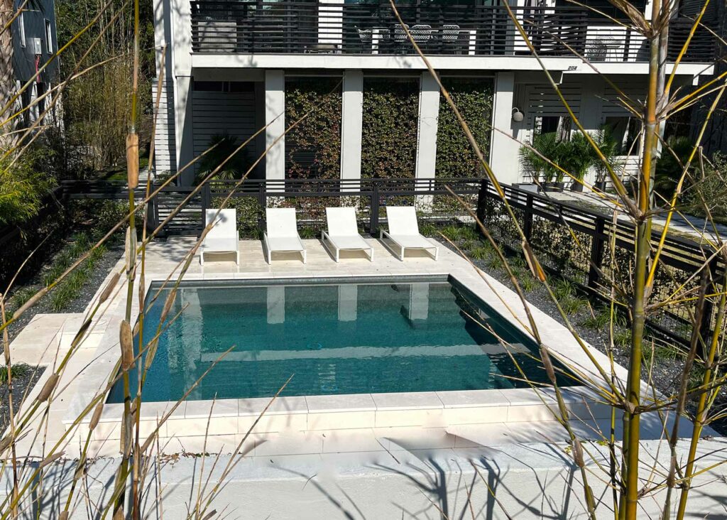 carolina-pool-portfolio-contemporary-pool-wooded-yard